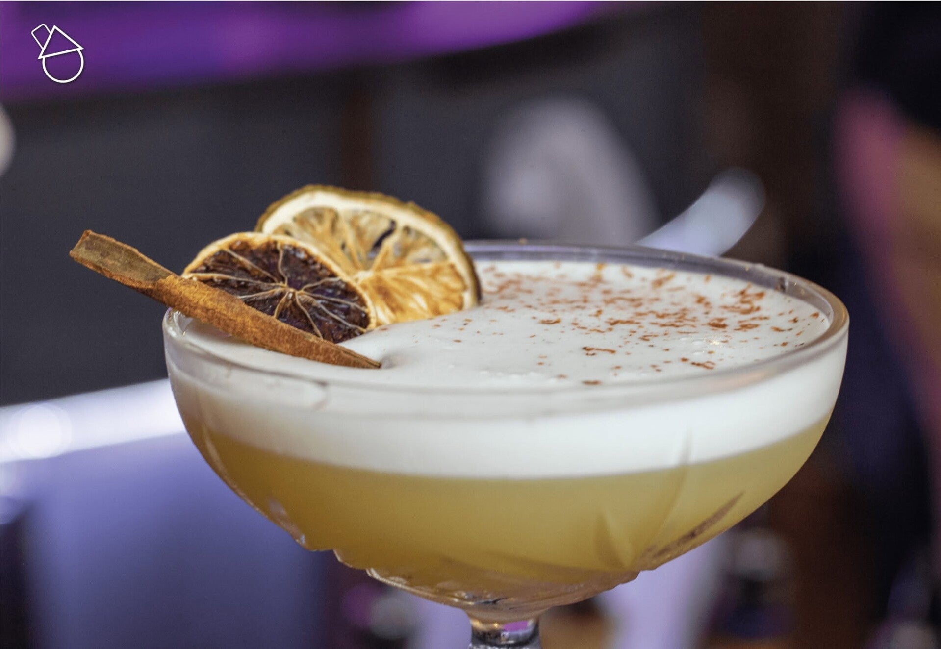 Cocktail sour avec tranche de citron séché et cannelle, création W&Co CHR Business Coaching