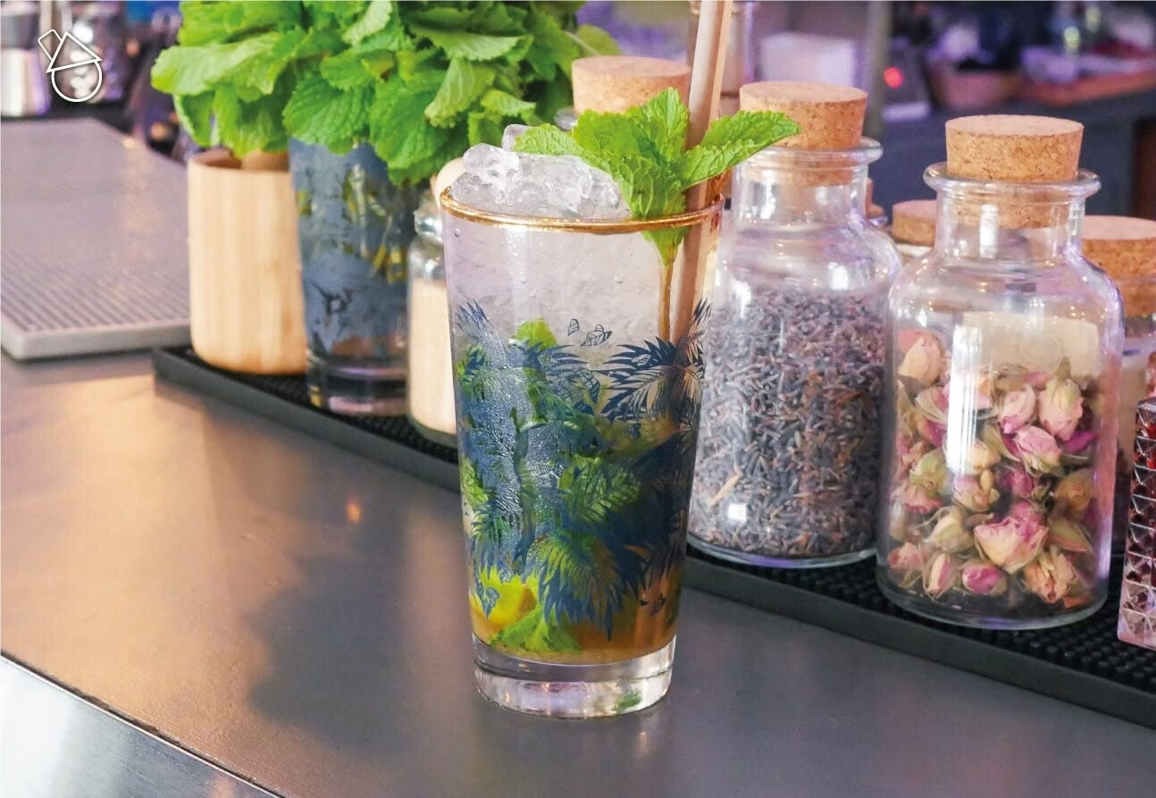 Cocktail au gin avec herbes fraîches et bocaux d'infusion, création W&Co CHR Business Coaching