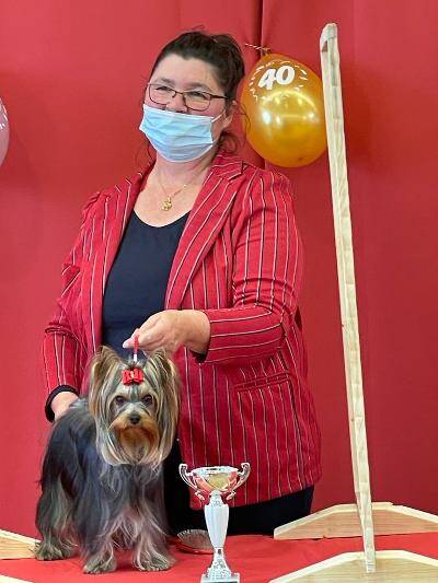 1.DYC  Amamos la Vida Yorkshire Terrier