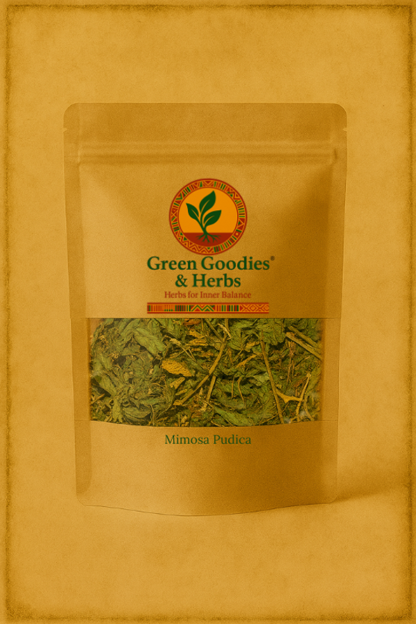 Mimosa Pudica