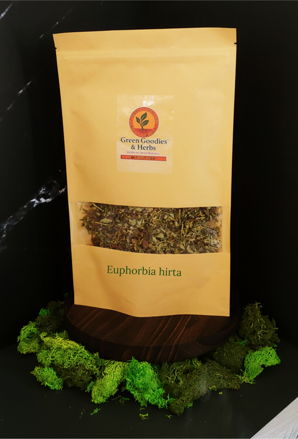Euphorbia hirta