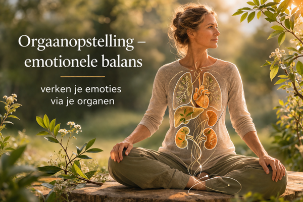 Tao dag Orgaanopstelling 5 november 2026