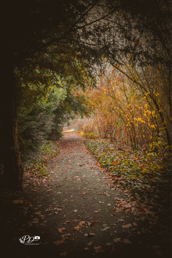 Wo der Herbst leise wird