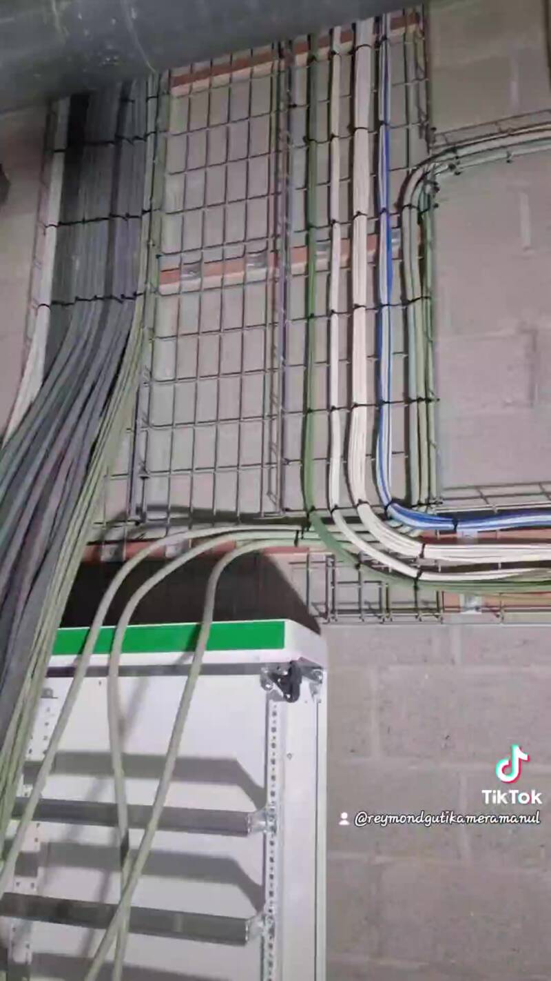 3-standard.jpg