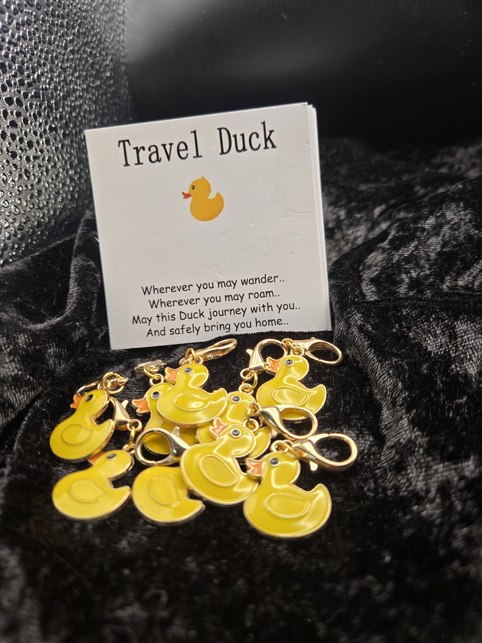 travel duck