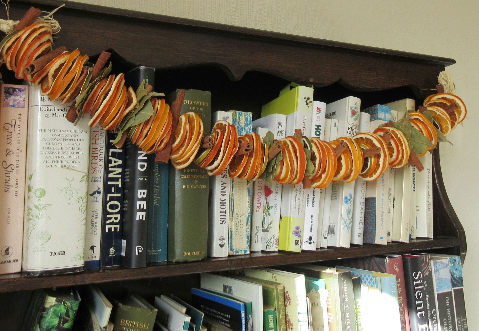 Orange & Cinnamon Garland