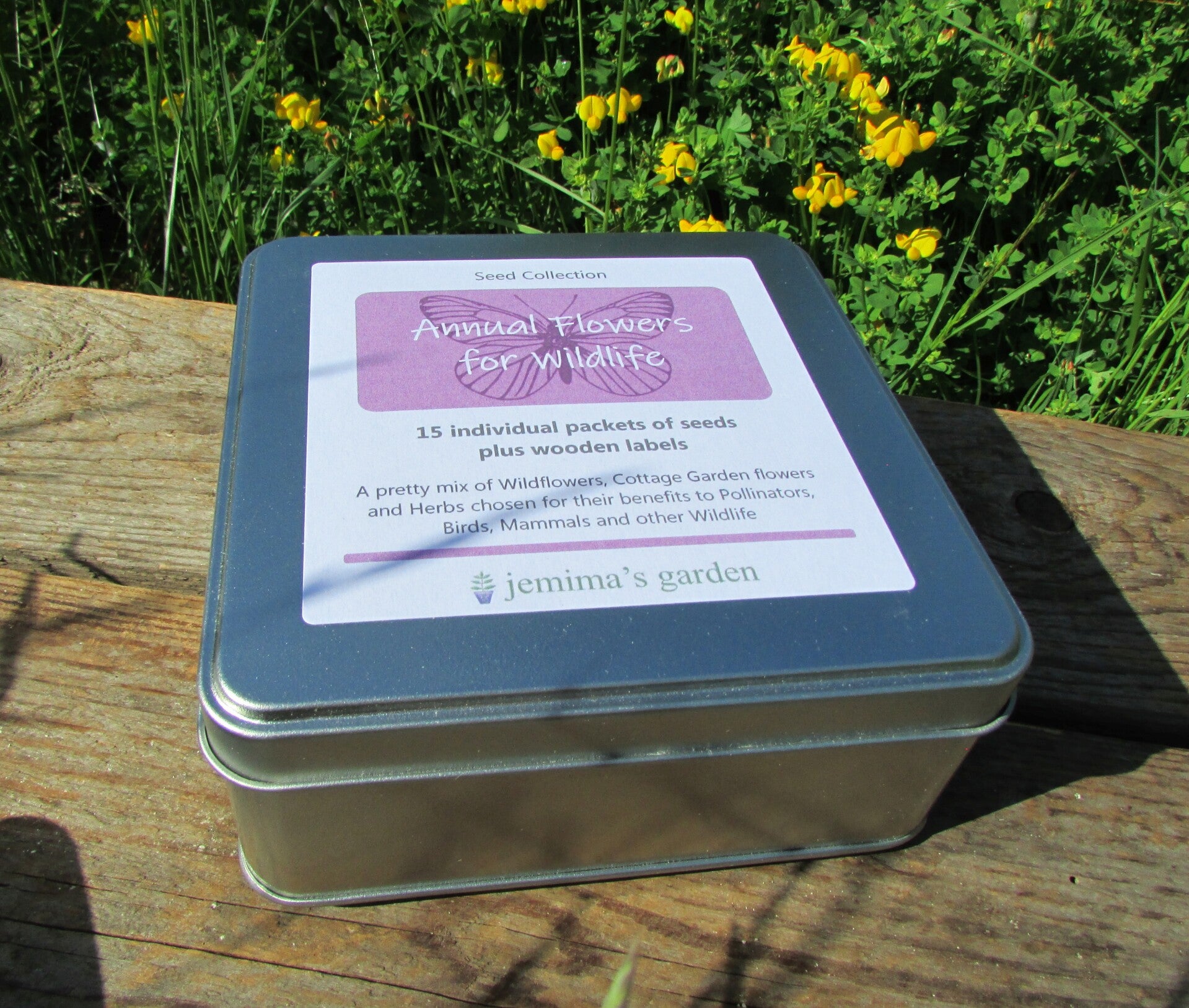 Collecting Wildflower Seeds Uk Best Flower Site