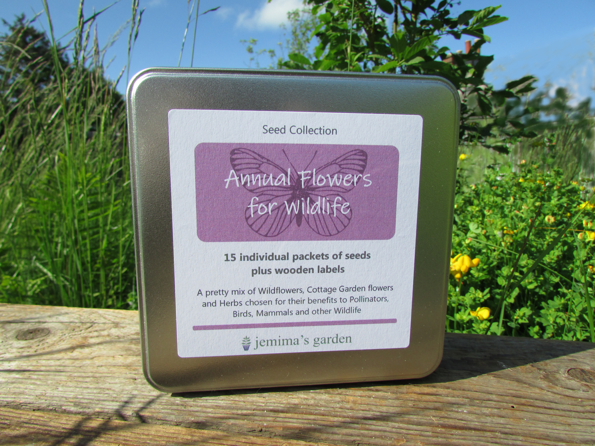 Ox-eye daisy, greater knapweed, bird's foot trefoil flowers and a seed packet