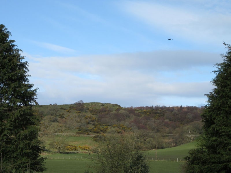 Dumfries & Galloway hills