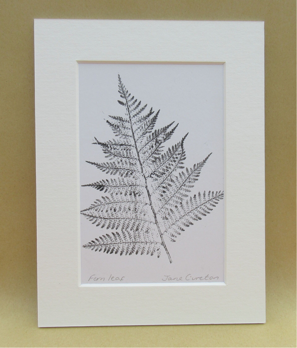 Botanical Monoprint of a Fern Leaf