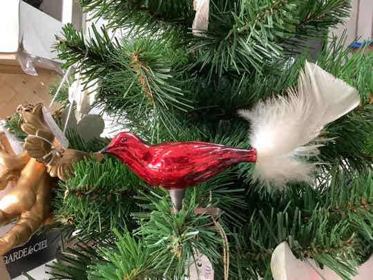 Rood vogeltje met echte veren staart