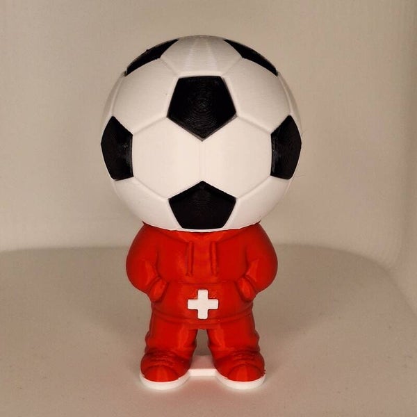 Schweizer Fussball Nationalmannschaft Fan