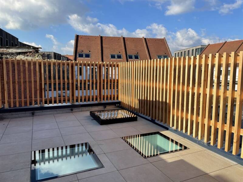 Rooftop terrace with wooden fencing and skylights.