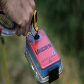cg5b0018-standard.jpg