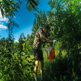 img_8256-standard.jpg