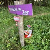 img_8509-standard.jpg