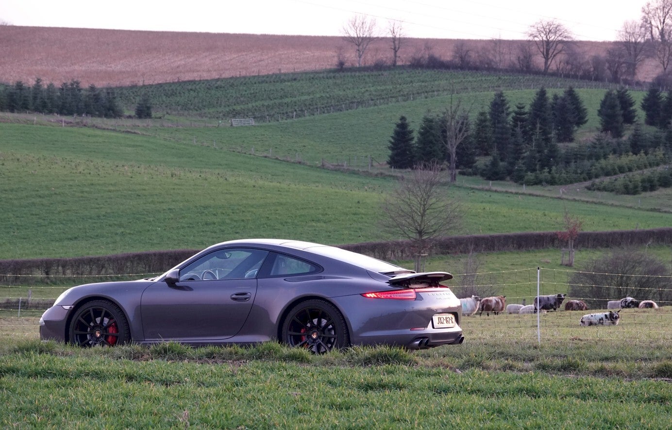 porsche 991 in natuur