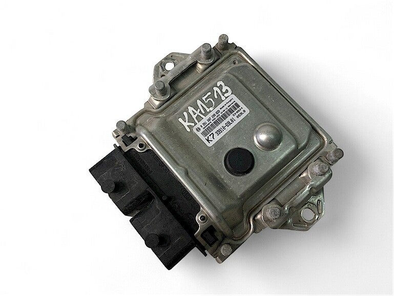 suzuki ecu