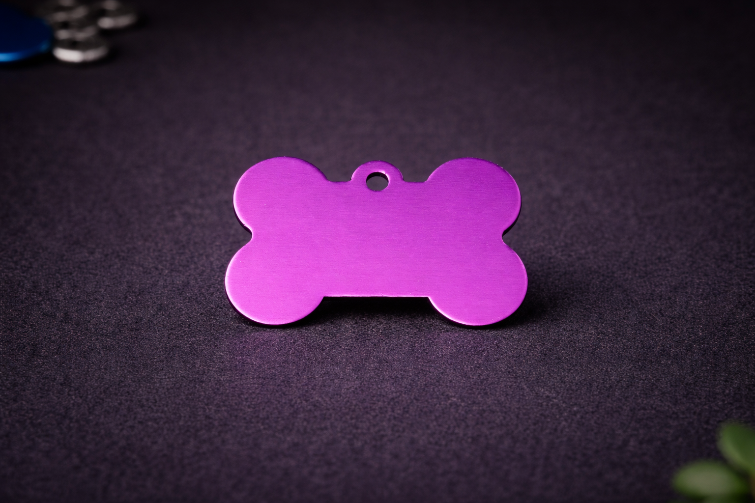 Os Violet 🐕‍🦺
