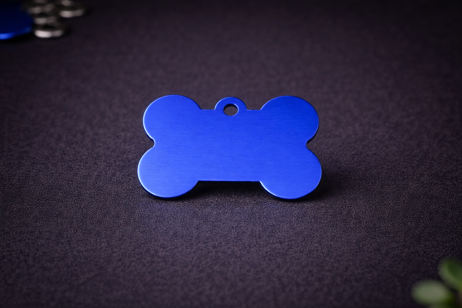 Os bleu 🐕‍🦺