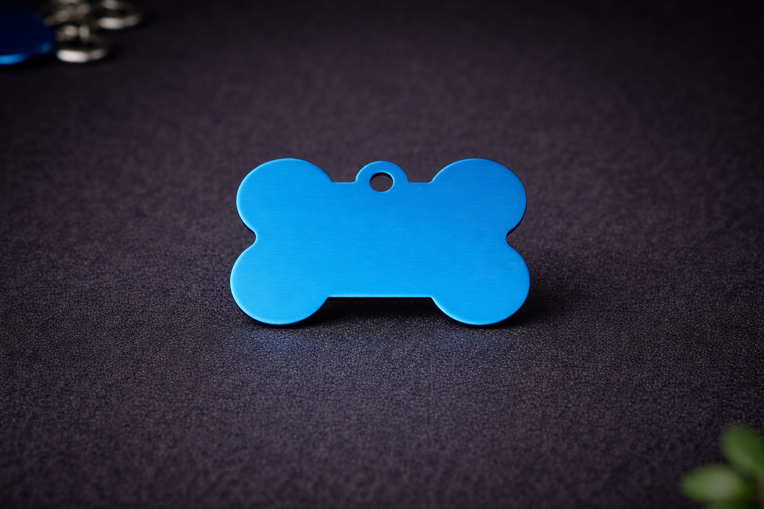 Os Cyan 🐕‍🦺