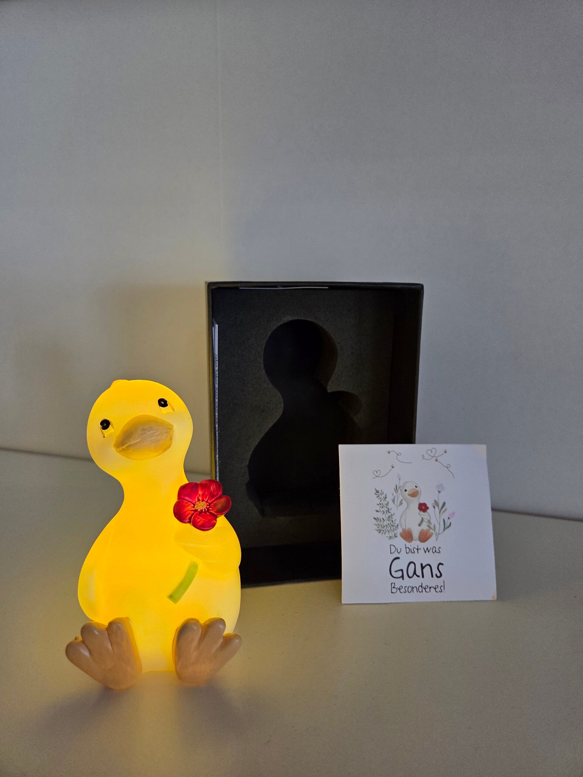 Gans Berta LED Geschenkset