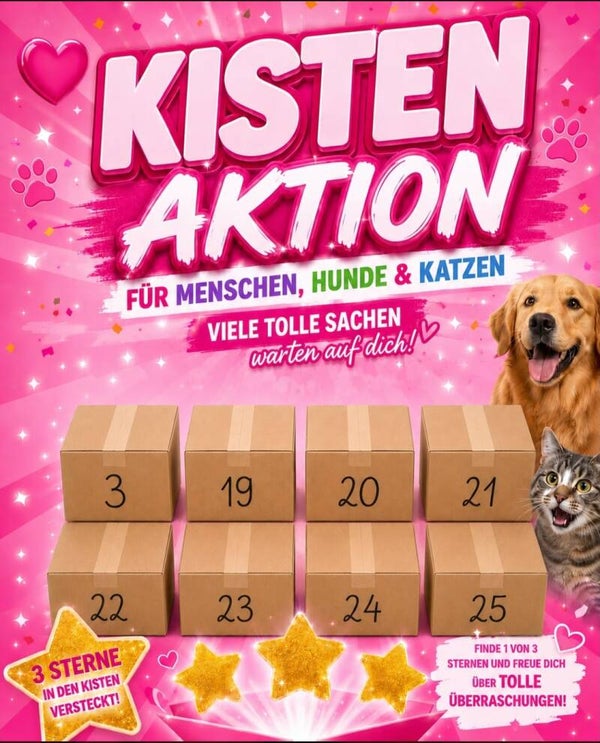 Kisten Aktion