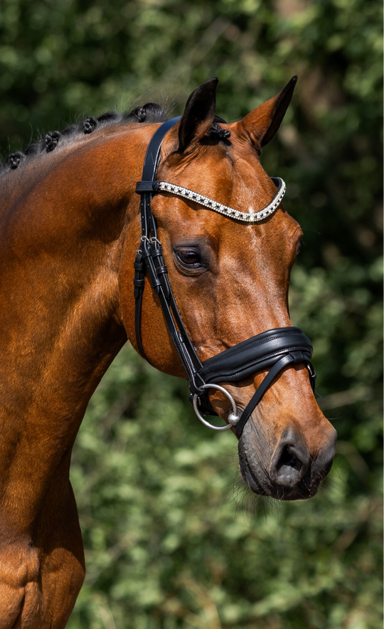 L'Anique Hoofdstel Valegro
