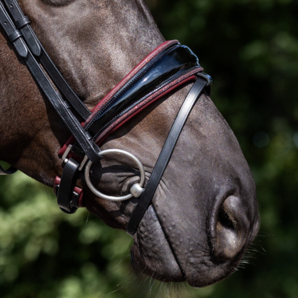 L'Anique Neusriem Temptation