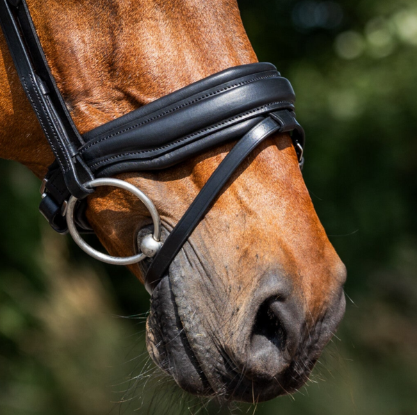L'Anique Neusriem Valegro