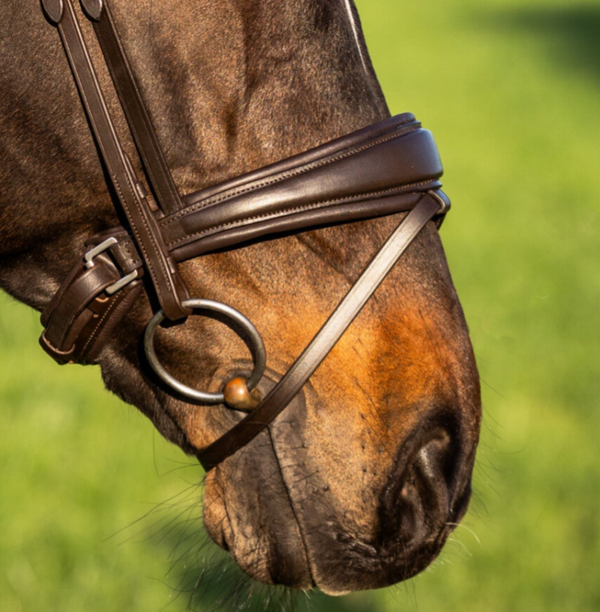 L'Anique Neusriem Romeo