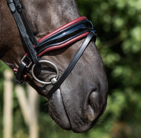 L'Anique Neusriem Verdi