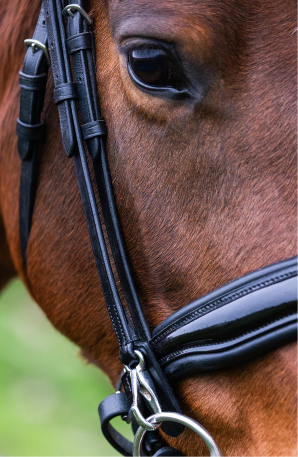 L'Anique Bakstukken met Clips