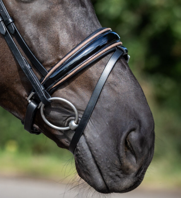 L'Anique Neusriem Nouvelle