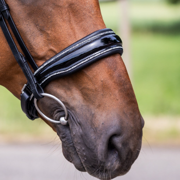 L'Anique Neusriem Allure