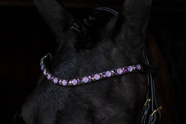 L'Anique Frontriem Violet