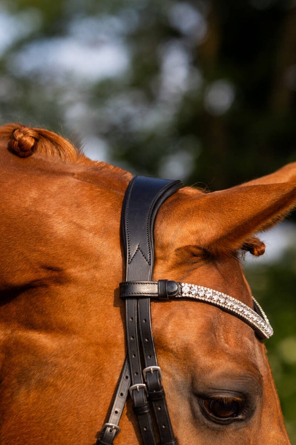 L'Anique Kopstuk anatomisch