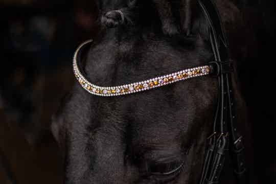 L'Anique Frontriem Frozen