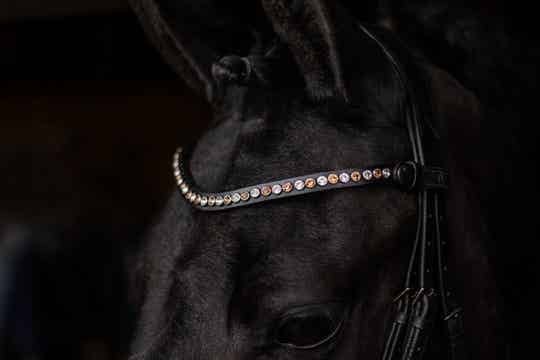 L'Anique Frontriem Angel