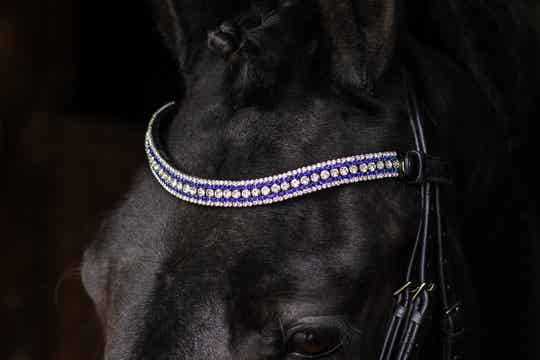 L'Anique Frontriem Navy Blue