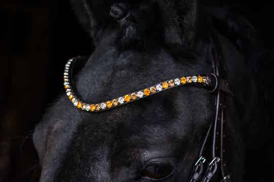 L'Anique Frontriem Nova