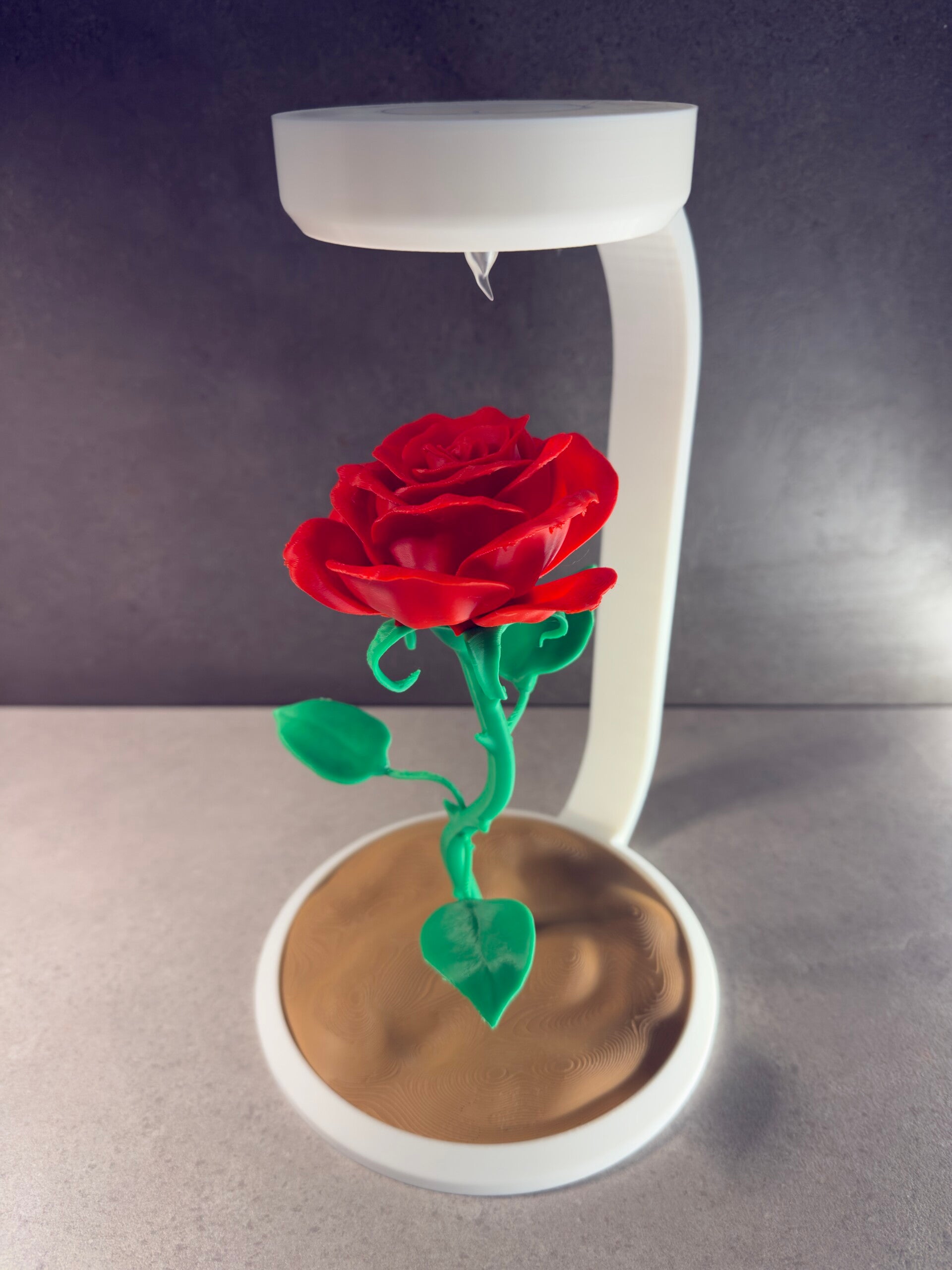 Rosa nel deserto con candela a led