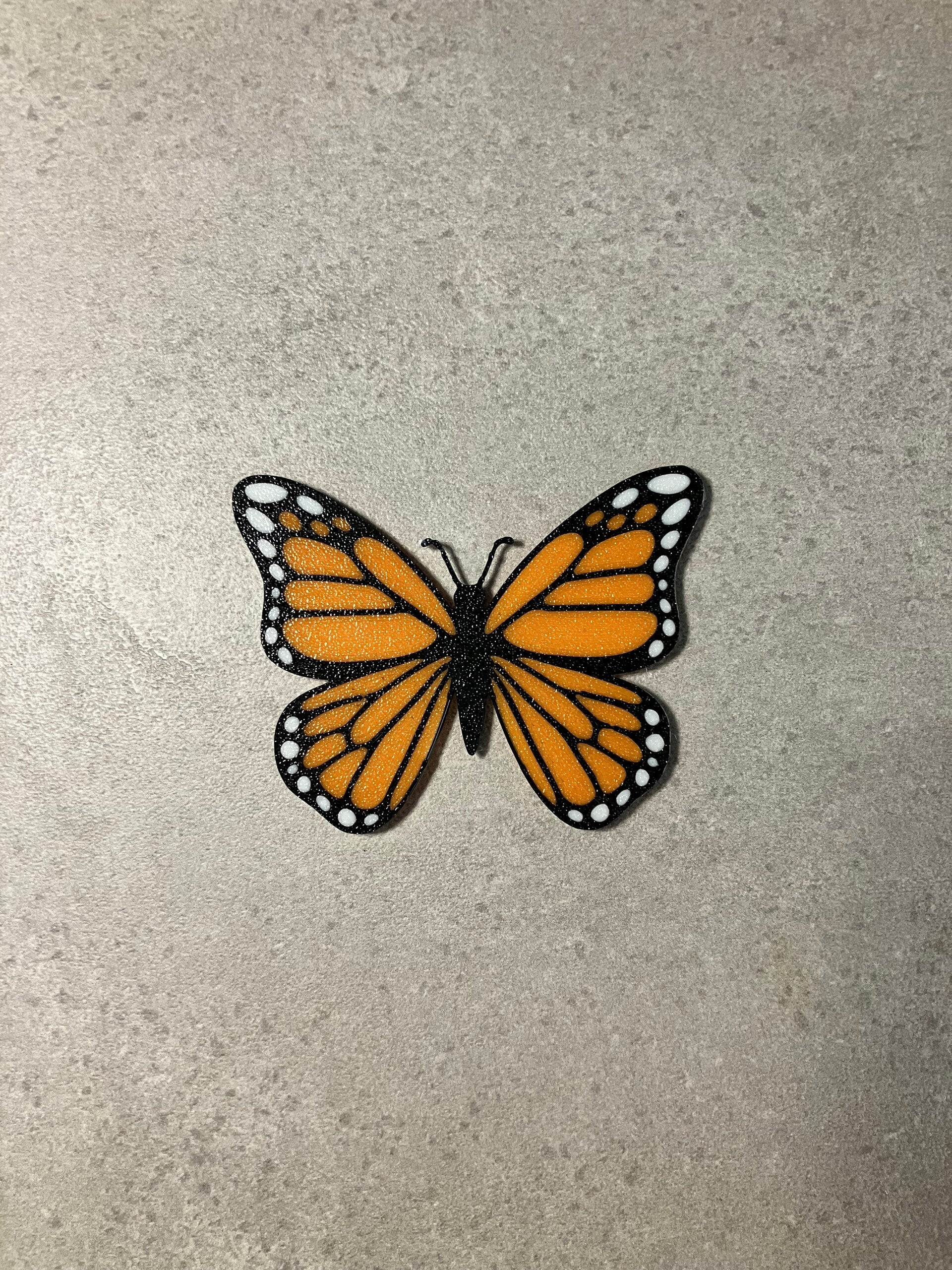 Farfalla magnetica
