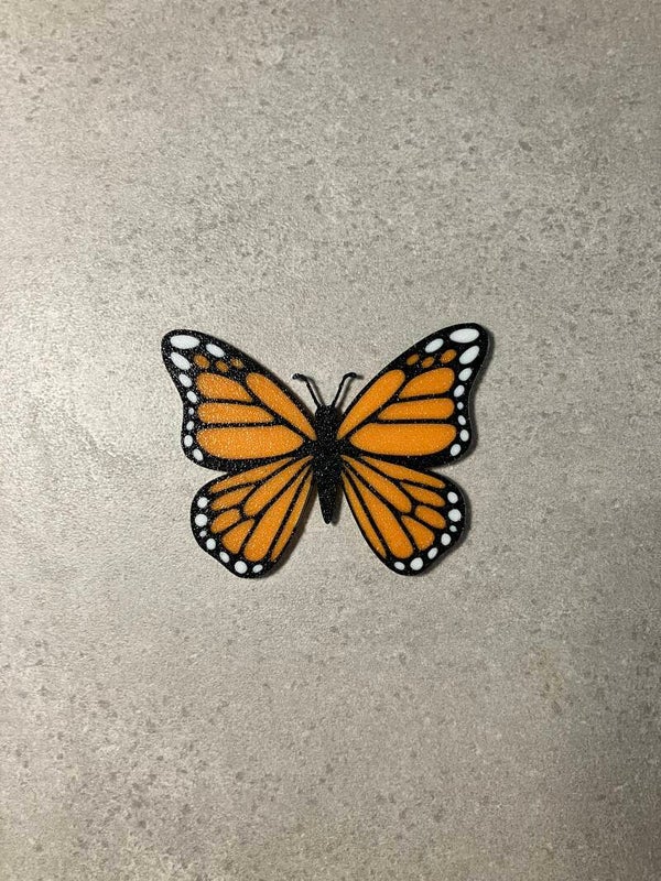 Farfalla magnetica
