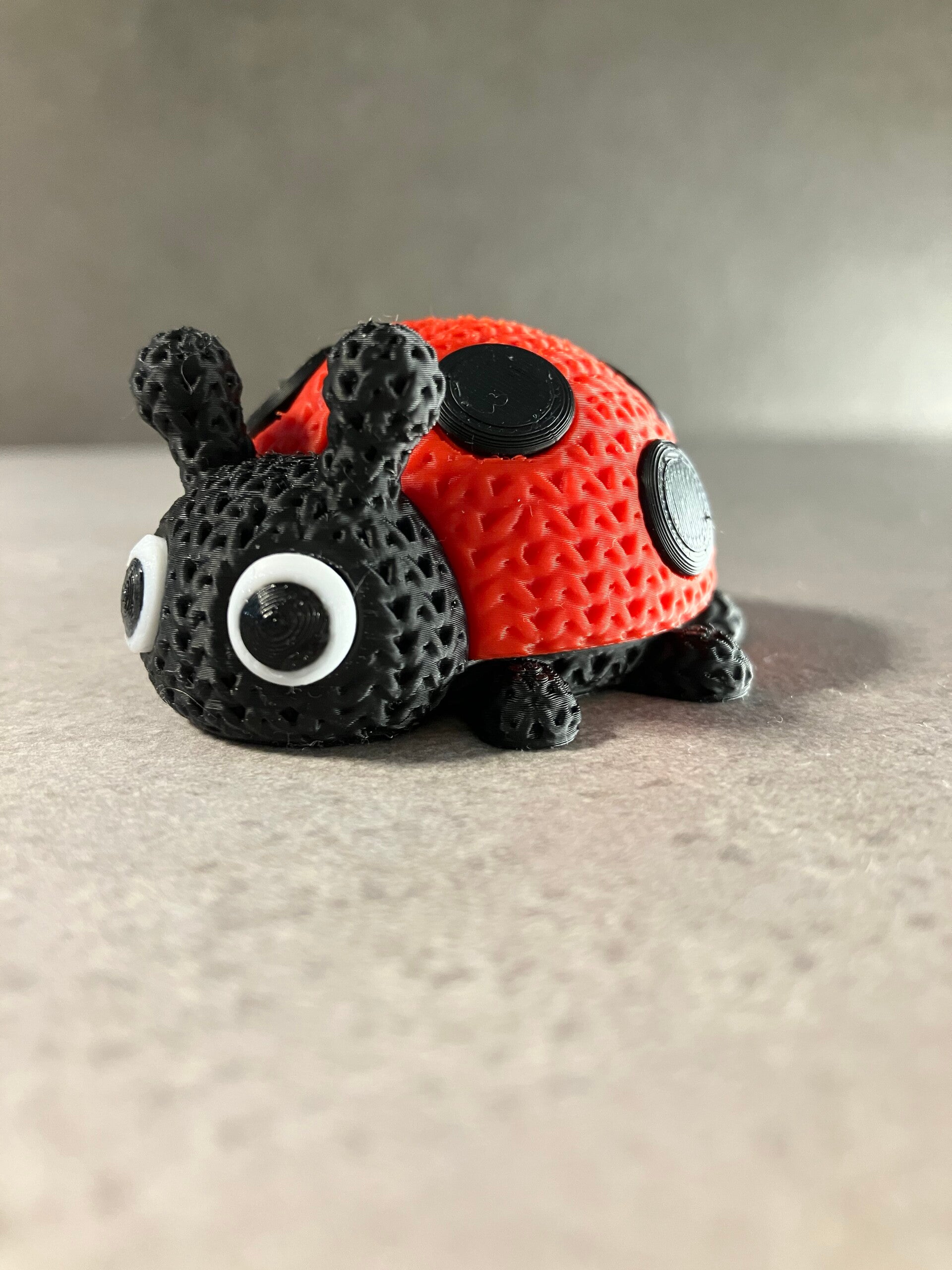 Coccinella