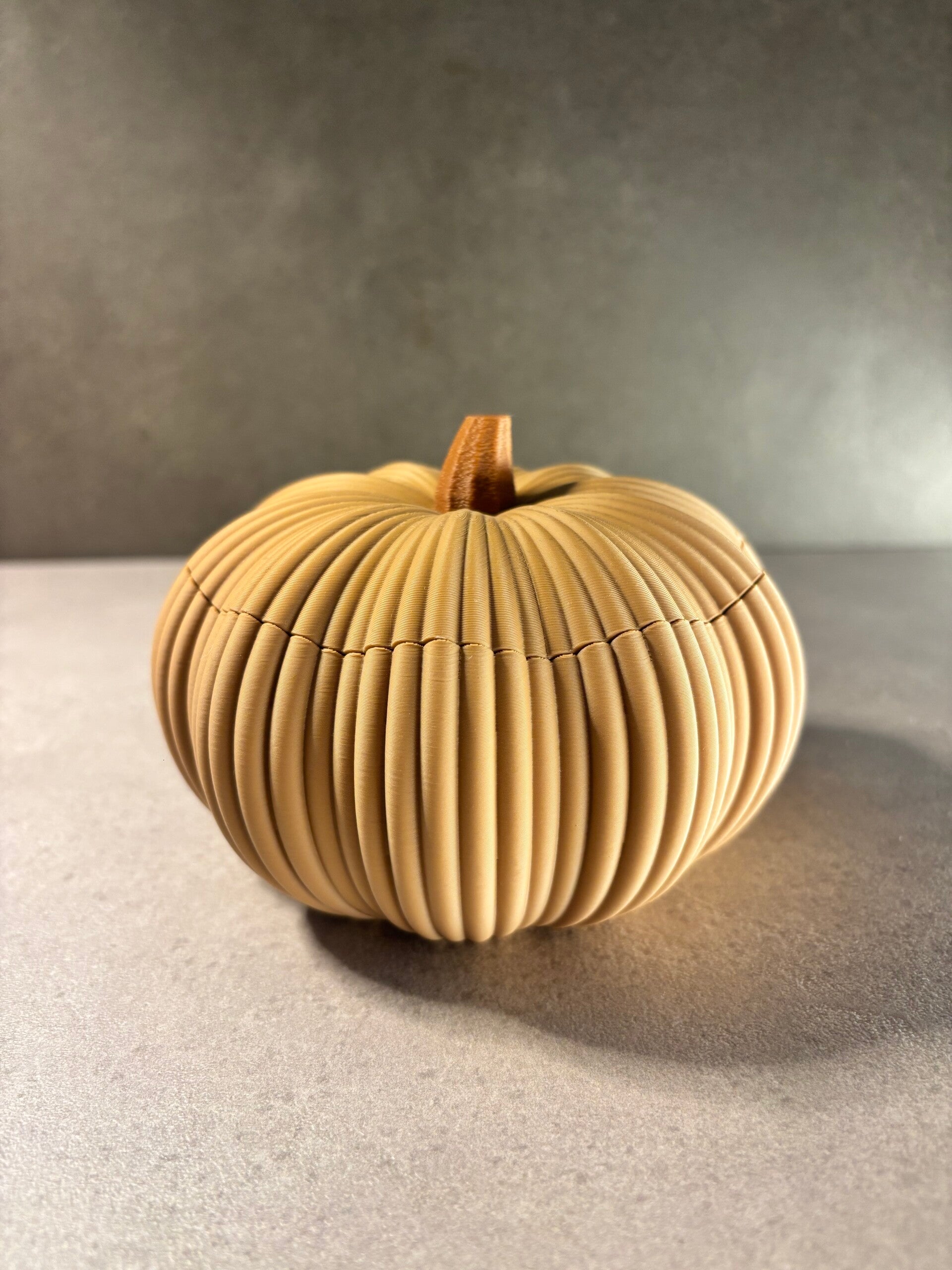 Zucca svuota tasche (vers.1)
