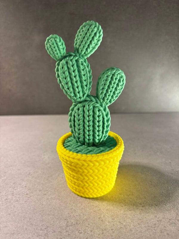 Cactus
