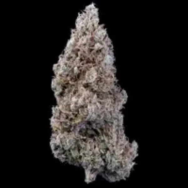 Mephisto Genetics / Crème Bubbly Auto 3 Seeds