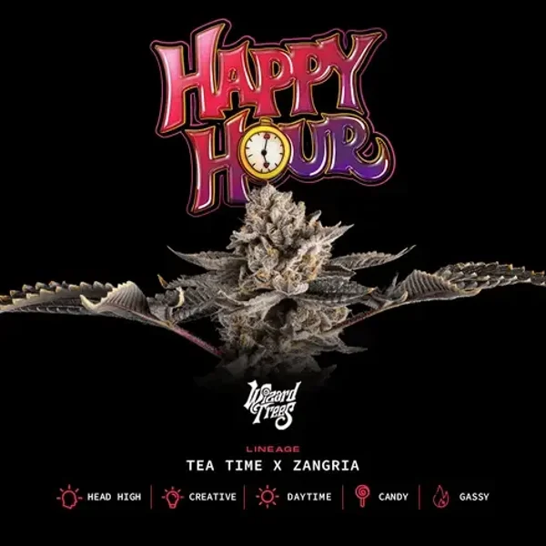 Wizard Tree Seeds / Happy Hour