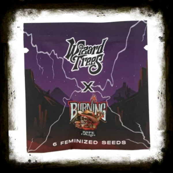 Bowshooter  6 stück / Wizard Trees